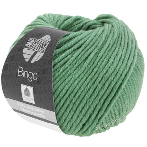 Lana Grossa BINGO  Uni/Melange | 196-grågrøn