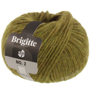 Lana Grossa BRIGITTE NO. 2 | 66-olivengrøn
