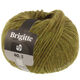 Lana Grossa BRIGITTE NO. 2 | 66-olivengrøn