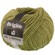 Lana Grossa BRIGITTE NO. 2 Vintage | 208-oliven meleret
