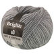 Lana Grossa BRIGITTE NO. 2 Vintage | 209-lys grå meleret