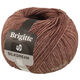 Lana Grossa BRIGITTE Silkdream | 02-nougat