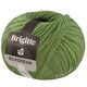 Lana Grossa BRIGITTE Silkdream | 19-grøn