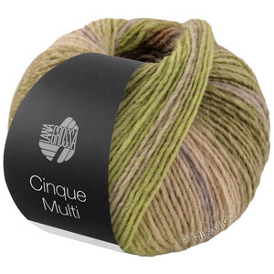 Lana Grossa CINQUE MULTI | 26-grågrøn/brombær/syren/rosentræ/sennep meleret