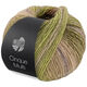 Lana Grossa CINQUE MULTI | 26-grågrøn/brombær/syren/rosentræ/sennep meleret