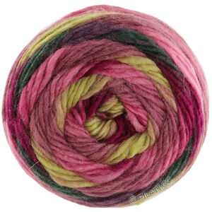 Lana Grossa COLORATO Aktion | 02-bær/lys oliven/hindbær/bordeaux/skog grøn/brombær
