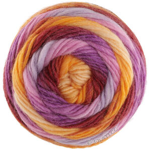 Lana Grossa COLORATO Aktion | 06-orange/burgund/violet/rosa/blålilla/gul