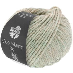 Lana Grossa COOL MERINO Big | 202-beige/grège/beigegrå