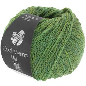 Lana Grossa COOL MERINO Big | 204-grøn