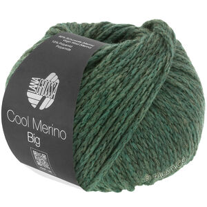 Lana Grossa COOL MERINO Big | 205-mosgrøn