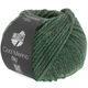 Lana Grossa COOL MERINO Big | 205-mosgrøn