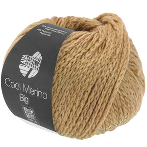Lana Grossa COOL MERINO Big | 216-kamel