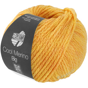 Lana Grossa COOL MERINO Big | 221-gul