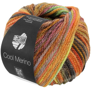 Lana Grossa COOL MERINO Color | 313-brun/gul/orange/grågrøn/æblegrøn/flaskegrøn/jade/umbra/rust/lyng/hindbær