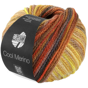 Lana Grossa COOL MERINO Color | 314-kamel/umbra/rust/gul/beige/taupe/nougat