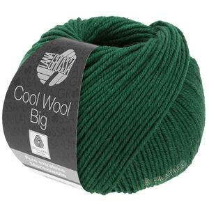 Lana Grossa COOL WOOL Big  Uni/Melange | 0949-flaskegrøn