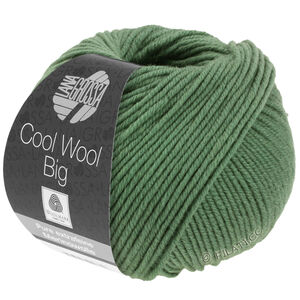 Lana Grossa COOL WOOL Big  Uni/Melange | 0967-resedagrøn