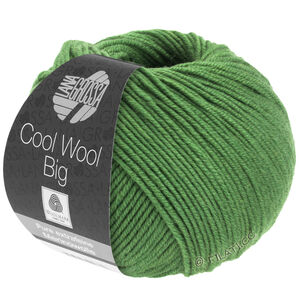 Lana Grossa COOL WOOL Big  Uni/Melange | 0997-bladgrøn