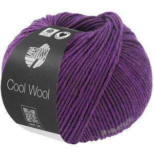 Lana Grossa COOL WOOL Mélange (We Care) | 1499-violet meleret