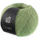 Lana Grossa CORALLO 100g | 09-grågrøn/salviegrøn/resedagrøn