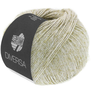 Lana Grossa DIVERSA | 07-natur