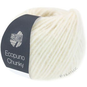 ECOPUNO Chunky fra Lana Grossa