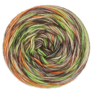 Lana Grossa  | 54-lys grøn/taupe/sandbeige/orange/antracit
