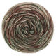 Lana Grossa ECOPUNO Hand-dyed | 55-mosgrøn/beige/sortbrun/mynte/gråbrun