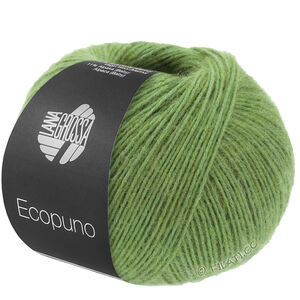Lana Grossa ECOPUNO | 225-pæregrøn