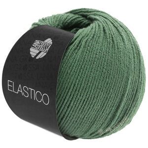 Lana Grossa ELASTICO | 141-resedagrøn