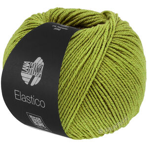Lana Grossa ELASTICO | 202-pistacie