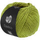 Lana Grossa ELASTICO | 202-pistacie