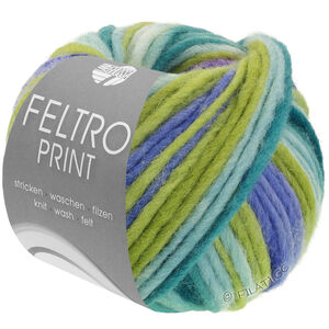 Lana Grossa FELTRO Print | 1315-limett/lilla/mynte/oleandergrøn/mørk grøn