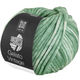 Lana Grossa GELATO Vintage | 108-oleandergrøn/hvid