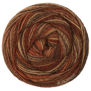 Lana Grossa GOMITOLO DISEGNO | 525-burgund/beige/rust/taupe/mørk brun/gråbrun/sortbrun