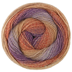 Lana Grossa GOMITOLO GALA | 4039-rødbrun/rust/nougat/grå lilla/violet