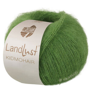 Lana Grossa LANDLUST KIDMOHAIR | 04-grøn