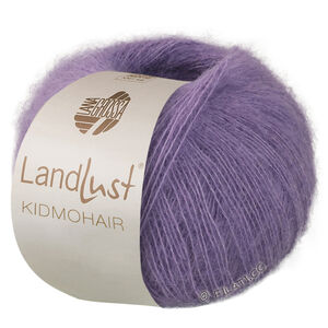 Lana Grossa LANDLUST KIDMOHAIR | 13-grå lilla