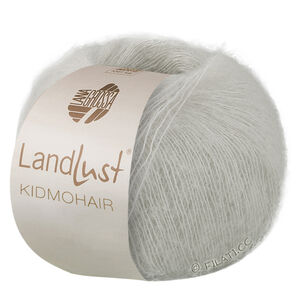 Lana Grossa LANDLUST KIDMOHAIR | 17-lys grå