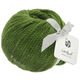 Lana Grossa LANDLUST MERINO 120 | 117-grøn