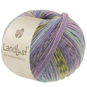 Lana Grossa LANDLUST DIE SOCKENWOLLE | 618-violetblå/jeans/lys blå/lys grå/mørk grå/jade/pistacie/syren stribet