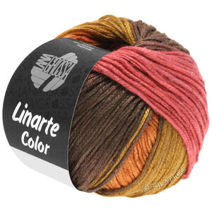 Lana Grossa LINARTE Color | 213-hindbær/pastelorange/sennepgul/brun