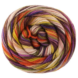 Lana Grossa MEILENWEIT 6-FACH 150g Cascata | 9747-kanelbrun/violet/mørk orange/lys beige/limett/pistacie/oliven
