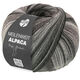 Lana Grossa MEILENWEIT 100g Alpaca Mix | 2302-
