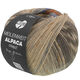 Lana Grossa MEILENWEIT 100g Alpaca Print | 2210-