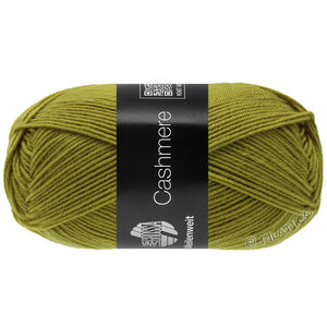 Lana Grossa MEILENWEIT 50g Cashmere | 73-kiwi