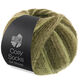 Lana Grossa MEILENWEIT 100g Cosy Socks Soft Stripes | 107-lys grøn/resedagrøn/grågrøn/mosgrøn