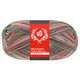 Lana Grossa MEILENWEIT 100g Merino Christmas | 6807-hvid/mørk grøn/mørk brun/orange/lys grøn