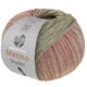 Lana Grossa MEILENWEIT 100g Merino Extrafine Shades | 7232-pastelgrøn/grågrøn/lys beige/beige/pink