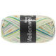 Lana Grossa MEILENWEIT 100g Neve | 2757-